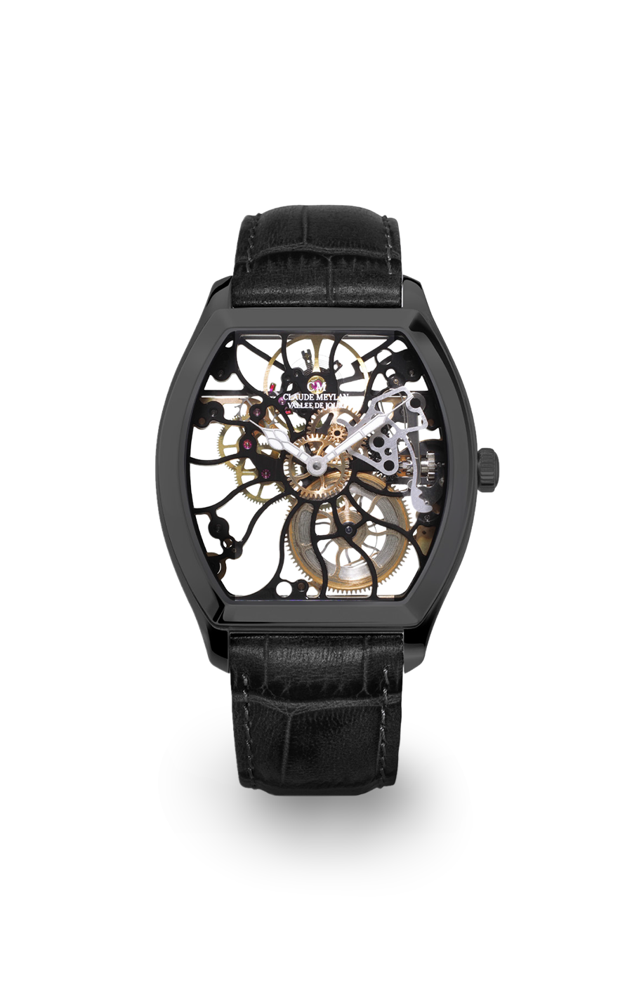 Tortue raimbow 6047-nn 40mm