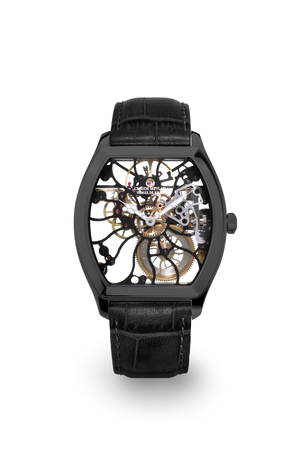 Tortue raimbow 6047-nn 40mm