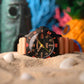 Hull Diver Automatic - SpongeBob SquarePants Limited Edition